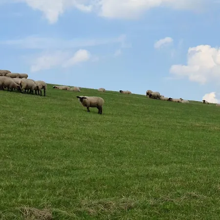 Дом отдыха Haus Meerzeit Sehestedt (Lower-Saxony)